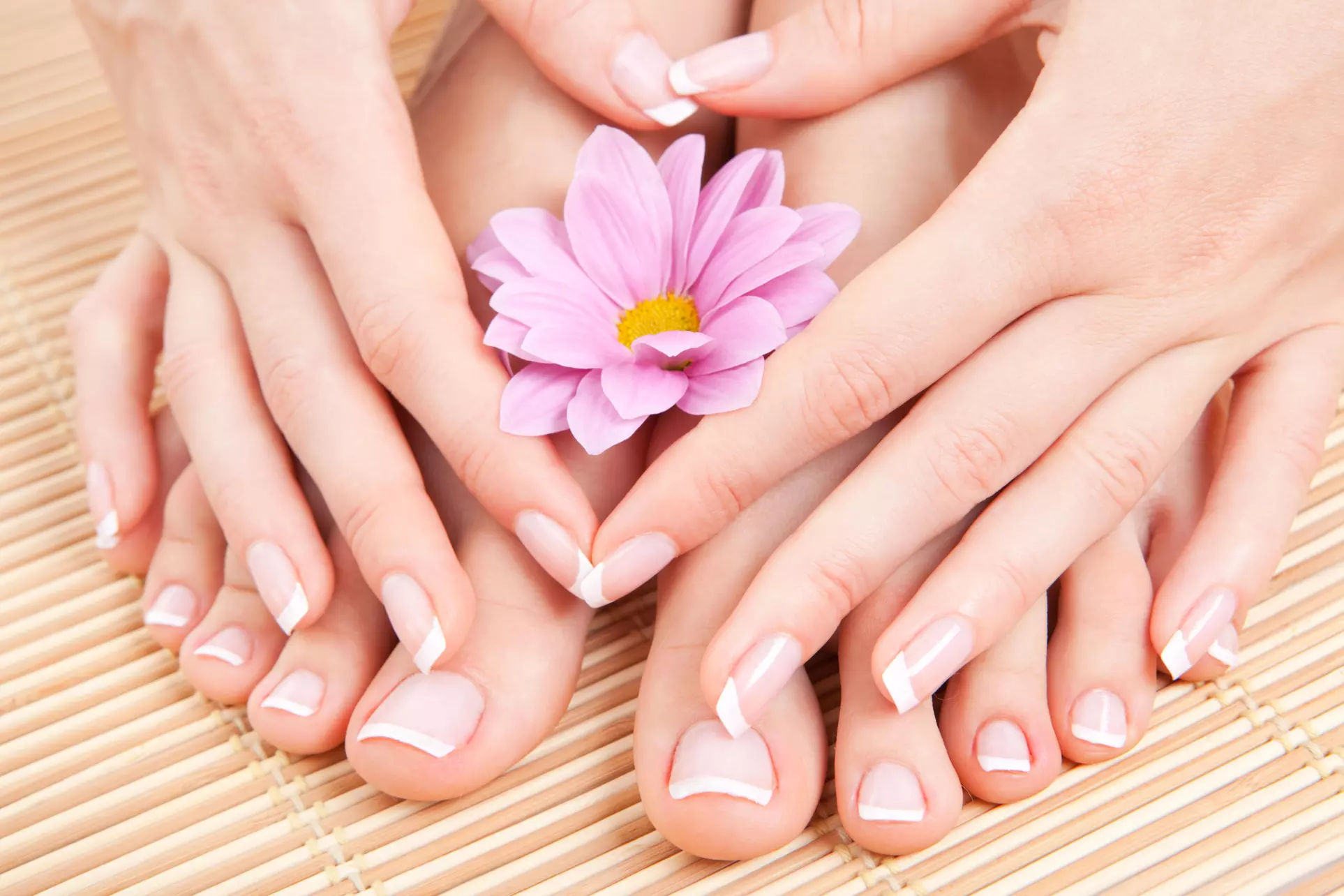 Up to 51% Off Mani/Pedi at Art of Nails - Primary Image