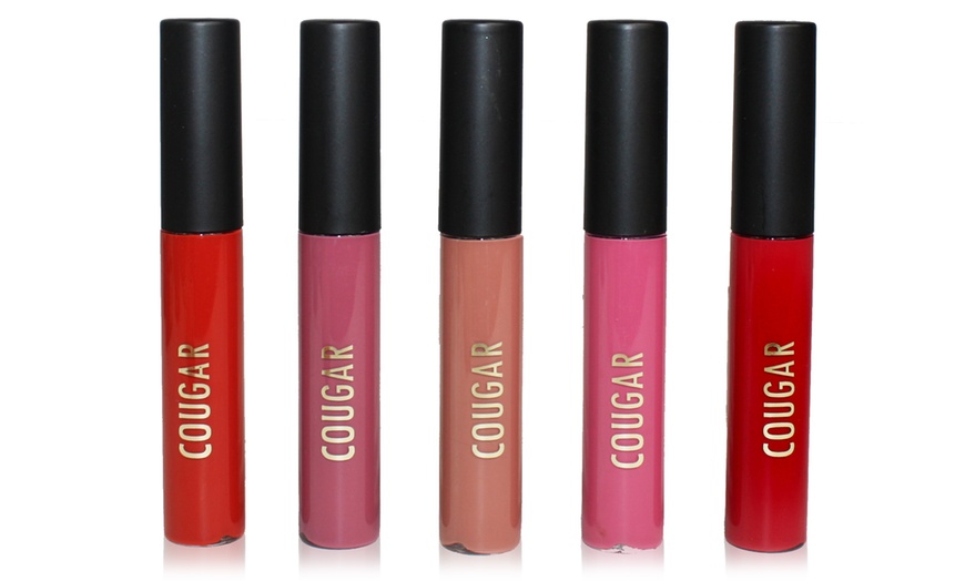 Cougar Beauty Matte Liquid Lipstick Set (5-Piece) | Groupon