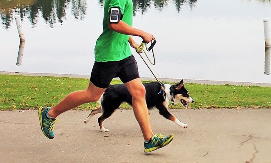 Jogs for Dogs - From $24 - Seattle | Groupon