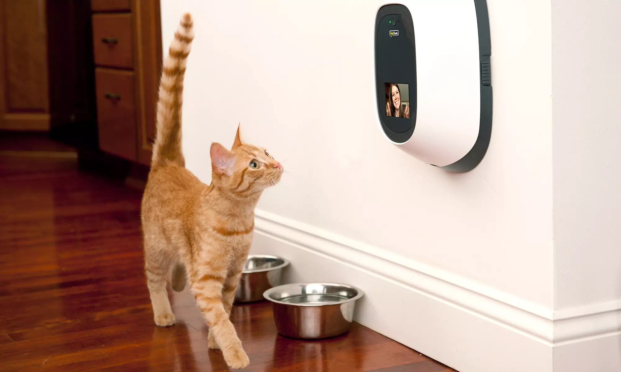 PetChatz Greet & Treat Videophone - Second Medium
