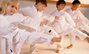 Explore Martial Arts: 12 Classes with Uniform