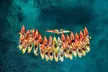1-Month Unlimited Rentals: Single Kayak or Paddleboard for One at Miami Kiteboarding (Up to 73% Off) - Second Medium