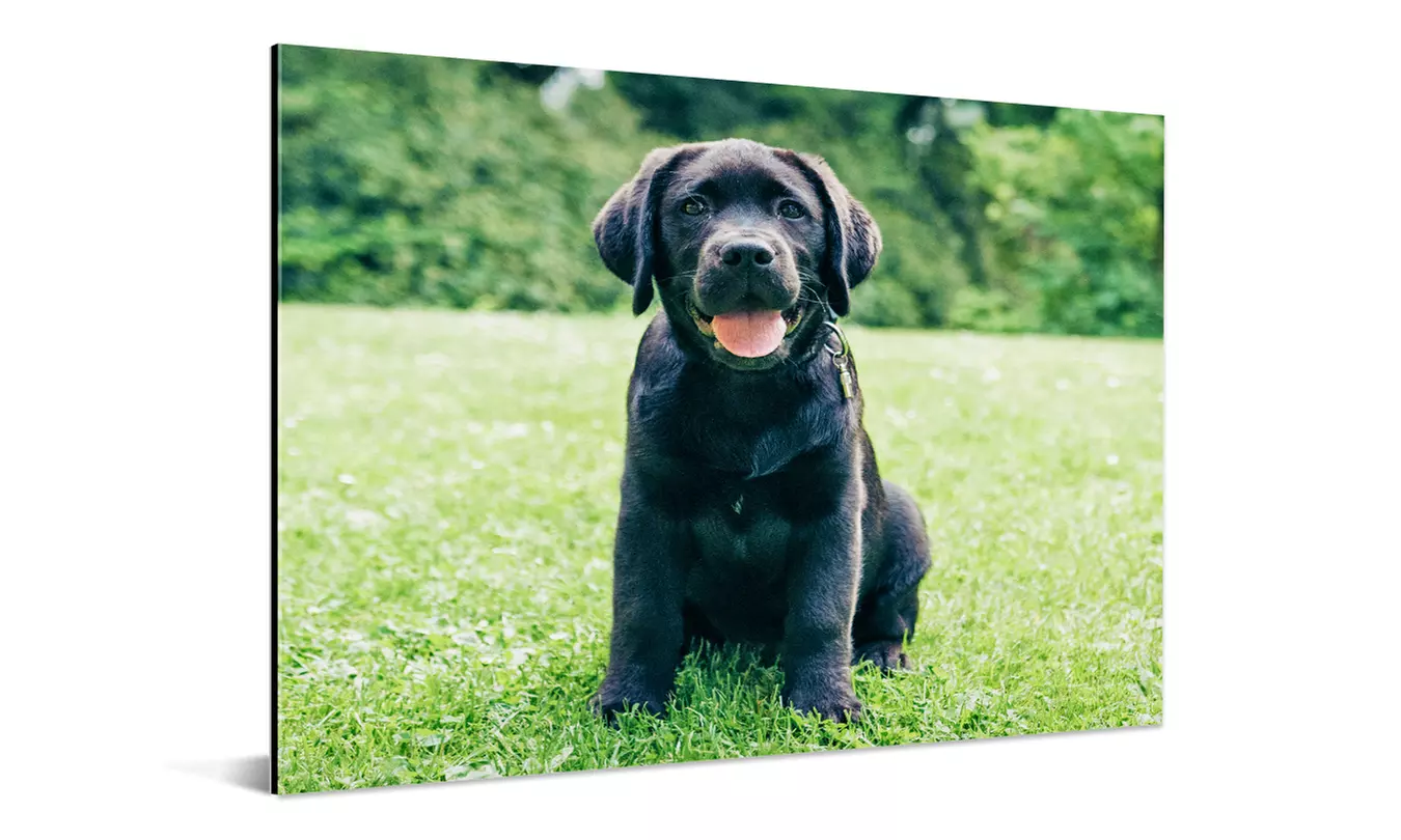 Photo sur aluminium personnalisée avec Hello Deco