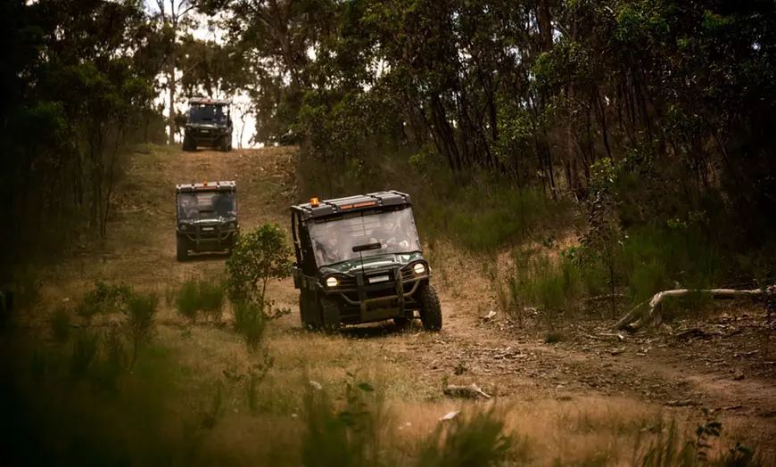 Image 4: Two-Hour Buggy Tour