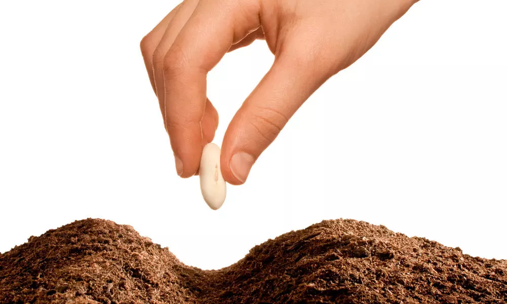 Online-Seminar zu Heilkraft