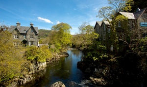 Snowdonia: Standard Room with Breakfast