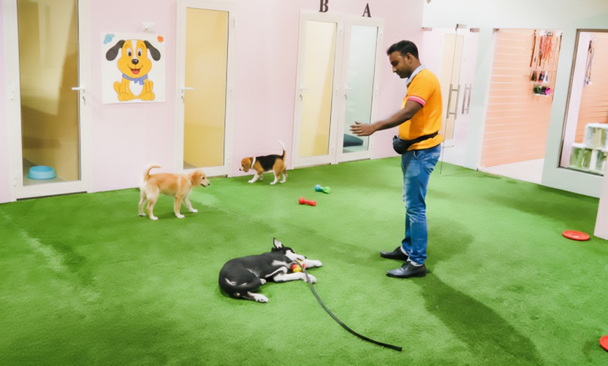 Image 2: Pet Boarding