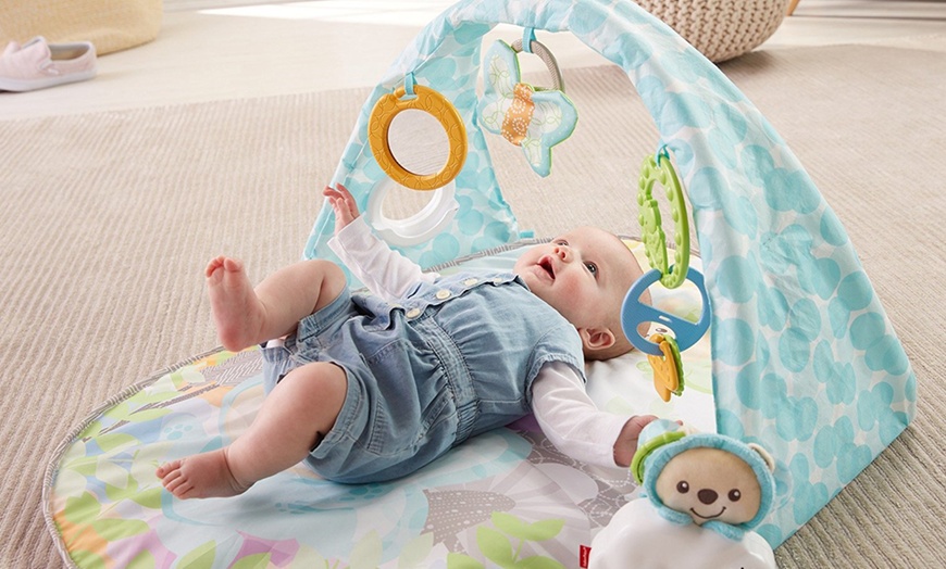 Image 6: Fisher-Price Baby Gym