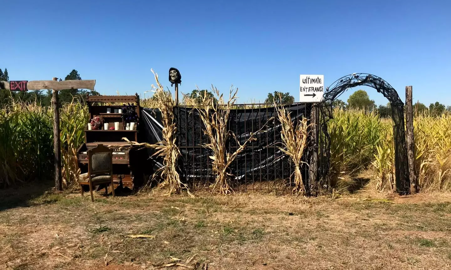 Enjoy Spooky Thrills at Strickler Monster Farms! Experience the Haunted Maze & Pumpkin Patch (Up to 20% Off) - Second Medium