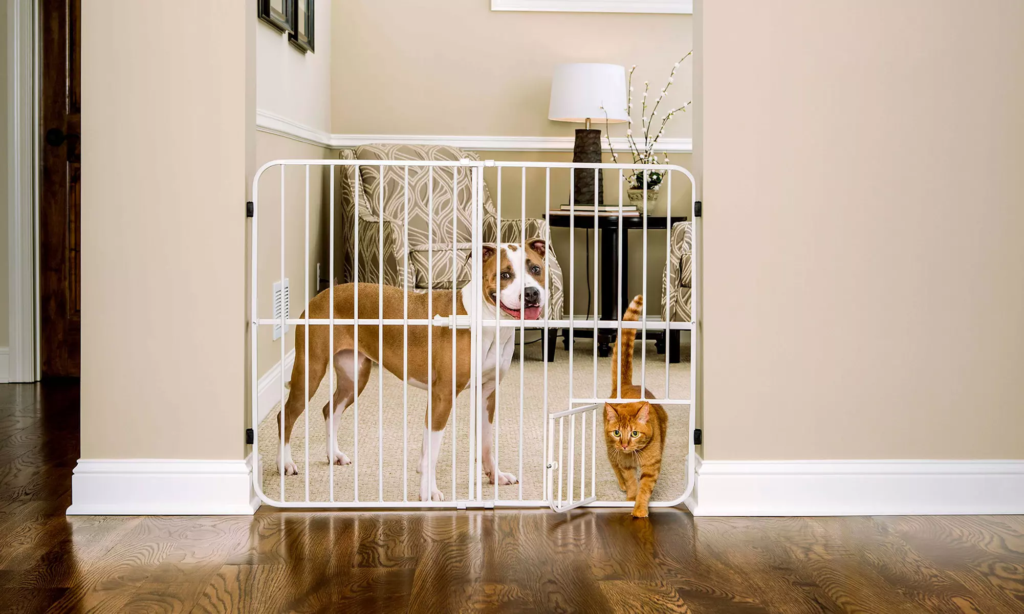 Carlson Lil' Tuffy Expandable Gate with Door for Pets - Second Medium