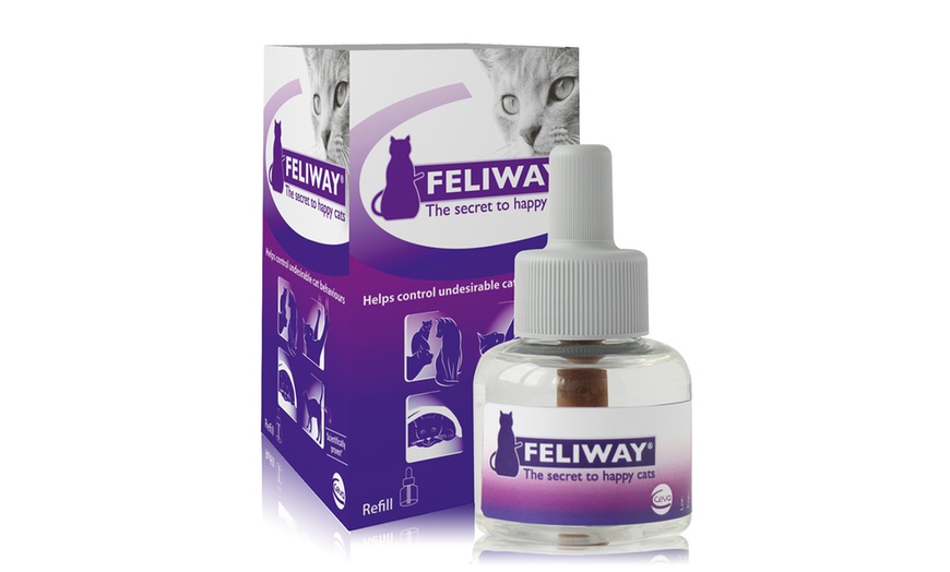 Image 2: Feliway for Cats