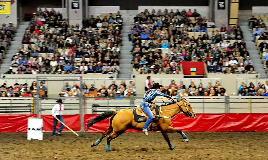 $14 for One Ticket to the Grand National Rodeo  at Cow Palace on October 17, 18, 24, or 25 ($23.65 Value) - Primary Image