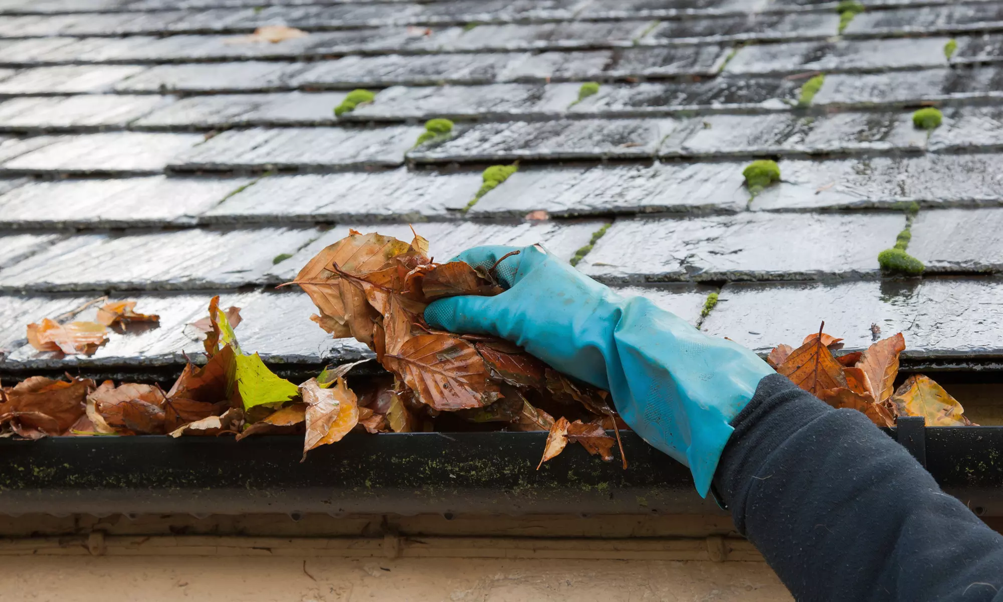 Gutter Cleaning for Homes from Leaf Relief Gutter Cleaning (Up to 52% Off). Three Options Available.  - Primary Image