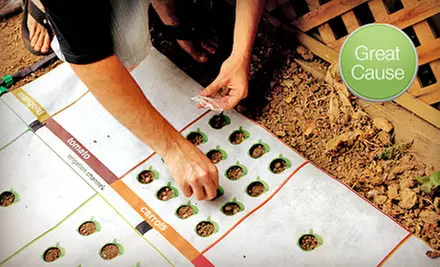 $10 Donation to Help Buy Gardening Systems for Area Nonprofits - Primary Image