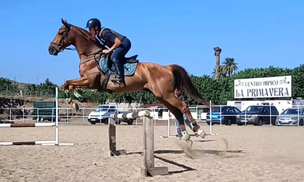 Clases de equitación para 1 persona en Finca Ecuestre La Primavera