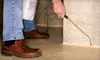 Pest-Control Treatment for the Exterior, Interior, or Both from S.T.E.P.S Pest Control (Up to 67% Off)