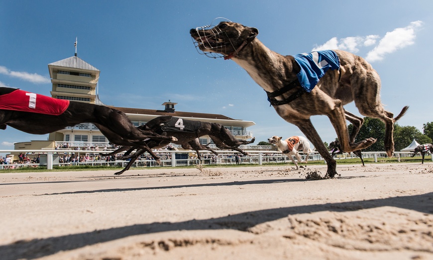 Image 1: Greyhound Racing with Meal
