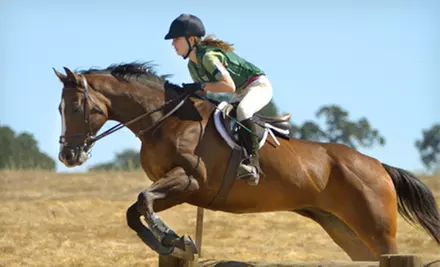$20 for One Group Horseback-Riding Lesson at Kildare Riding School ($45 Value)  - Primary Image