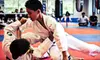 $15 Toward a Martial-Arts Class
