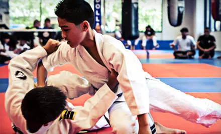 $15 Toward a Martial-Arts Class - Primary Image
