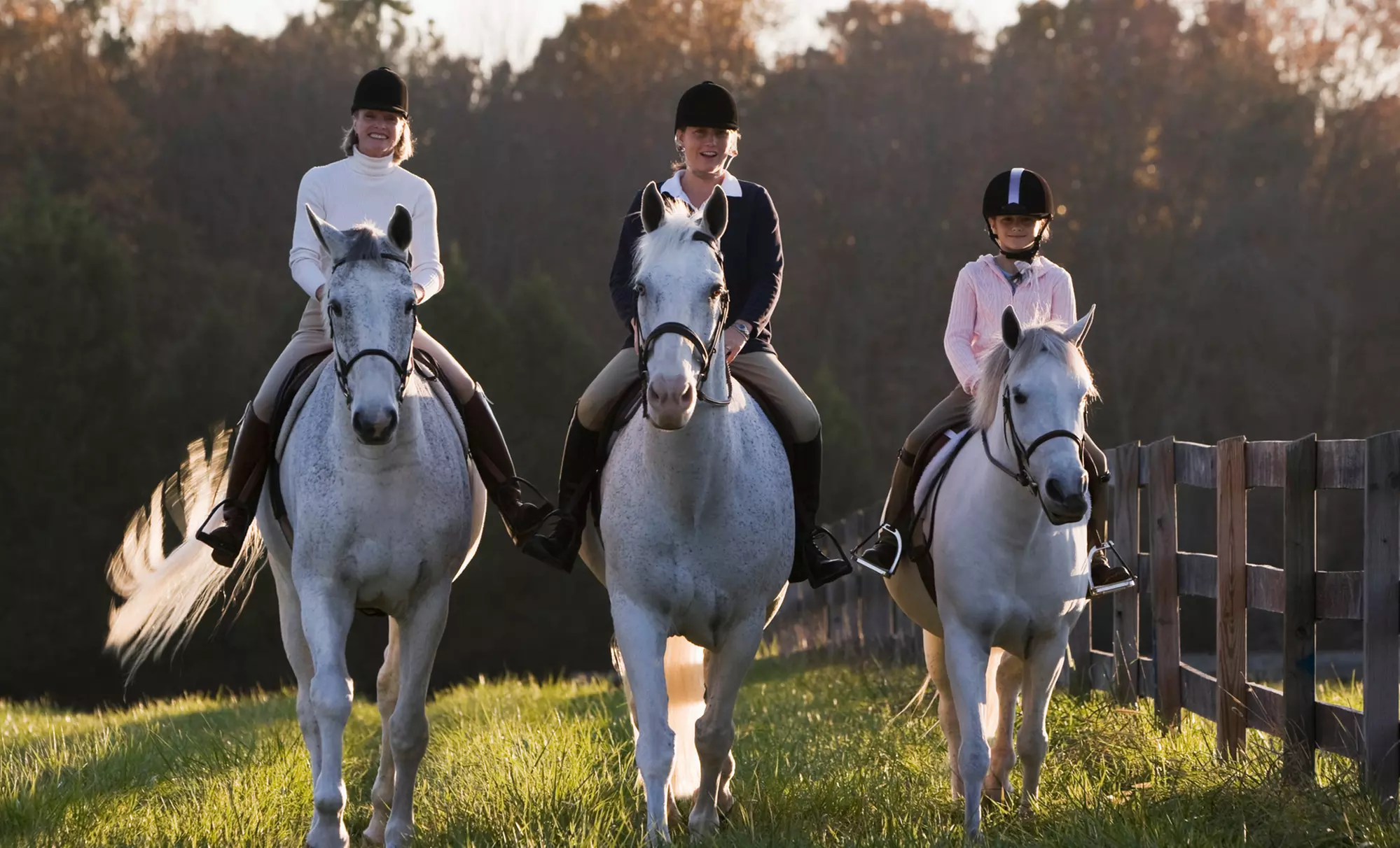 One or Two 60-Minute Group Horse Riding Lessons at Pleasant Valley Farm (49% Off) - Primary Image