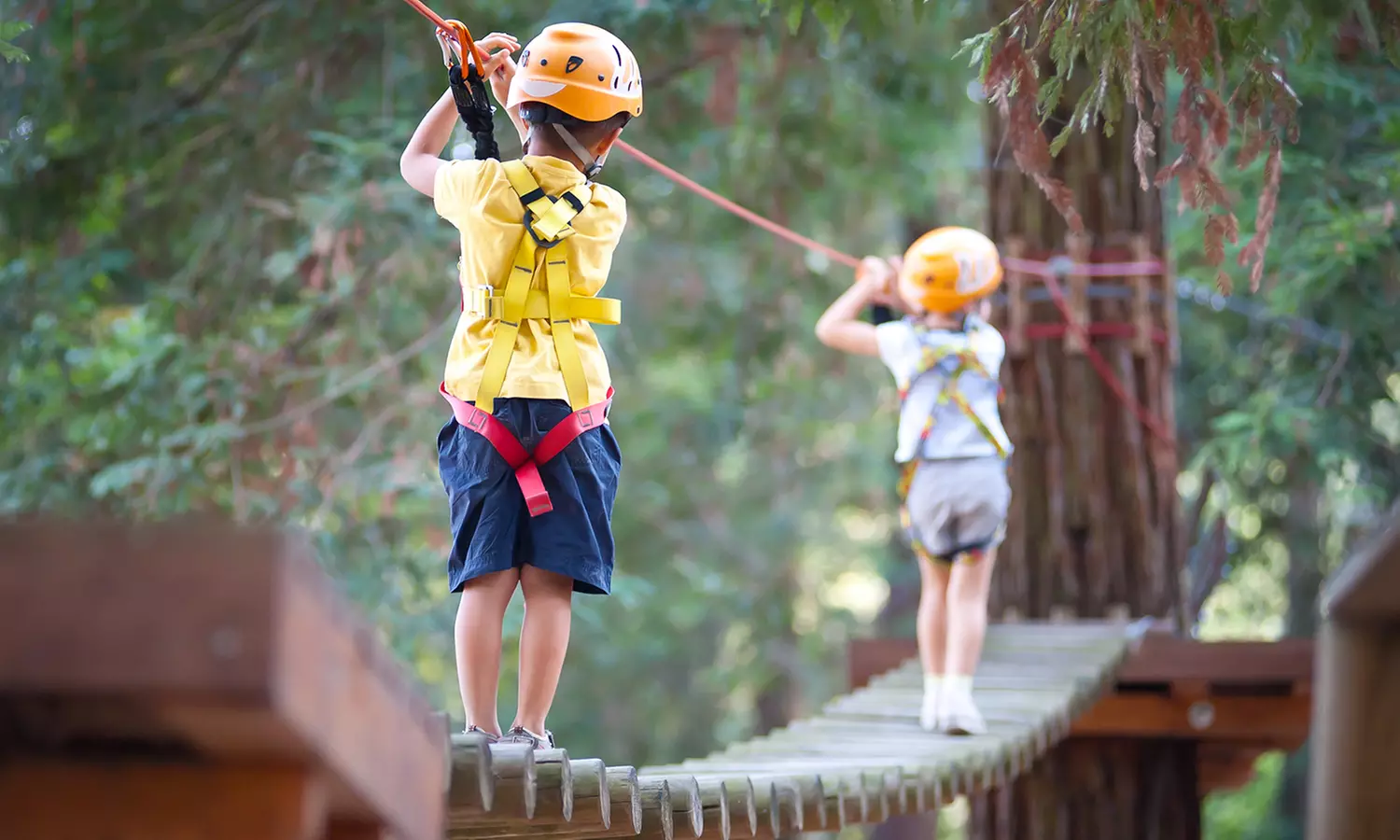 Découvrez le Parc Robinson en famille : activités d'accrobranche ou de lancer de haches (jusqu'à 30% de remise) - Primary Image