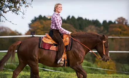 Lessons at The Lazy Horse Equine Center & Hannanna Stables in Ballston Spa (Up to 70% Off). Three Options Available.  - Primary Image