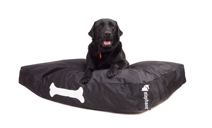 Image 4: Pet Bed or Bean Bag