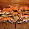 Crab, Lobster, and Fresh Fish - Blue Crab Trading Company | Groupon