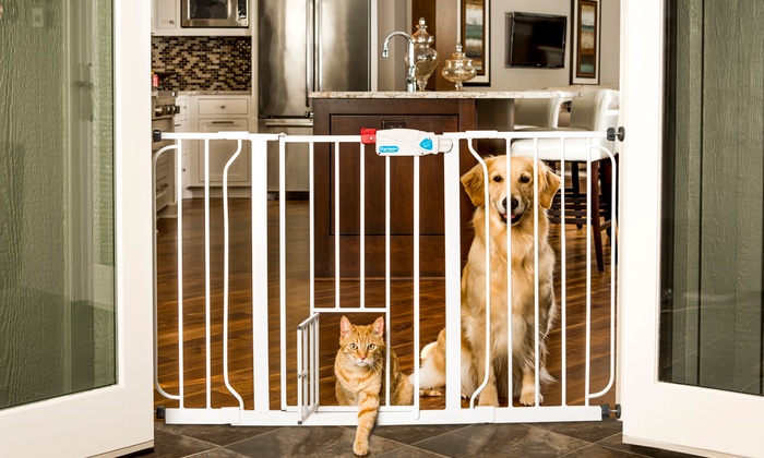 walk thru pet gate