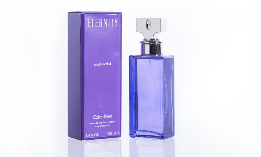 purple orchid calvin klein