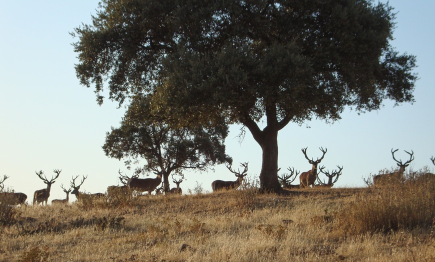 Image 4: Hasta 56% de dto. en CENTRO ANDALUZ DE LA FAUNA SALVAJE