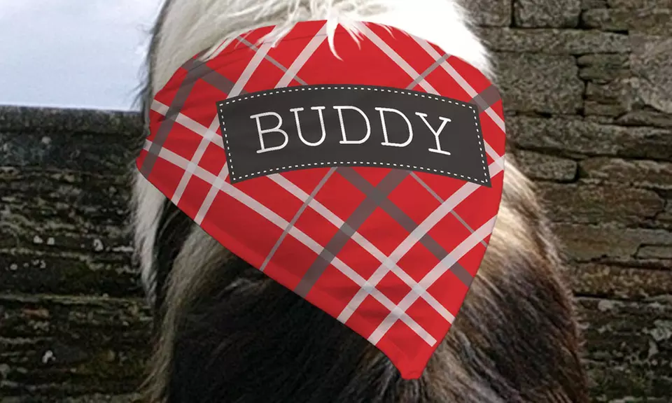 Personalized Dog Bandanas for Every Occasion