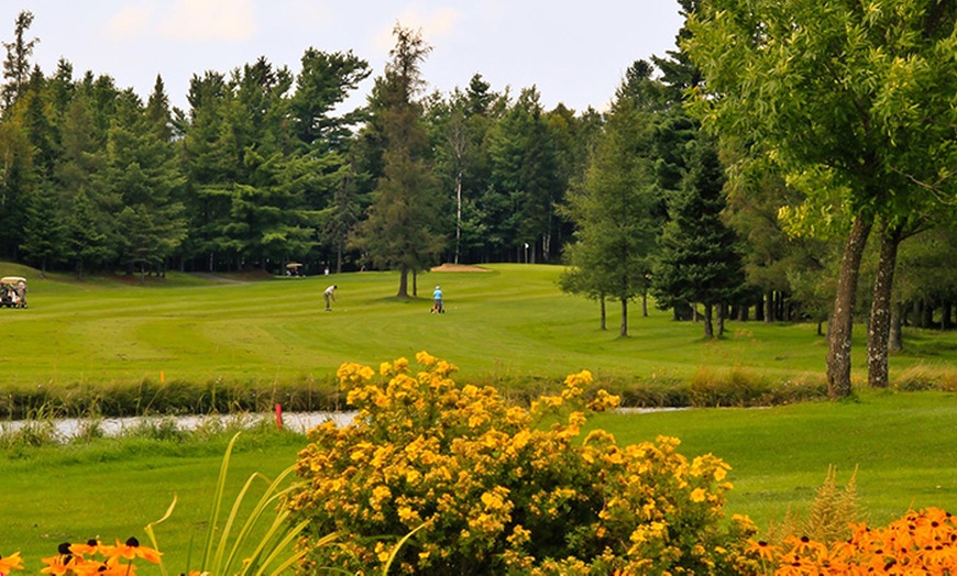 Image 5: Day of Golf with Cart