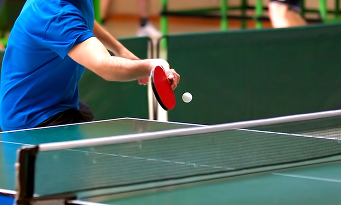 Table Tennis Small Group Classes at Elanora Squash Club