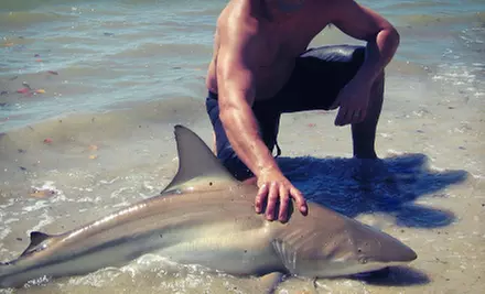 $175 for a Three-Hour Shark-Fishing Trip for Three from Reel Kind Fishing ($350 Value) - Primary Image