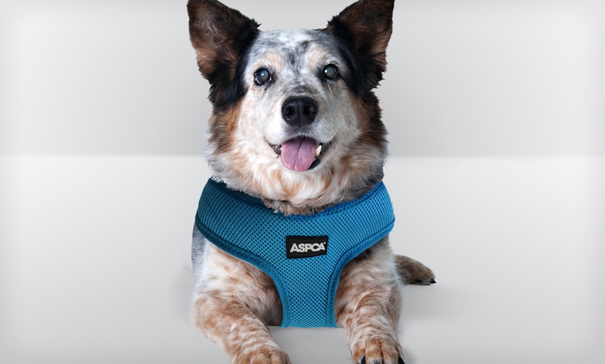 Aspca shop dog harness