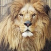 Image 3: GetOut Pittsburgh with Admission to 25+ Iconic Attractions