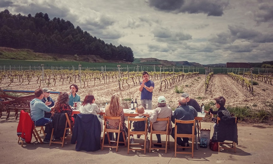 Image 2: Visita guiada a la bodega y cata de vinos en Bodegas Urbina