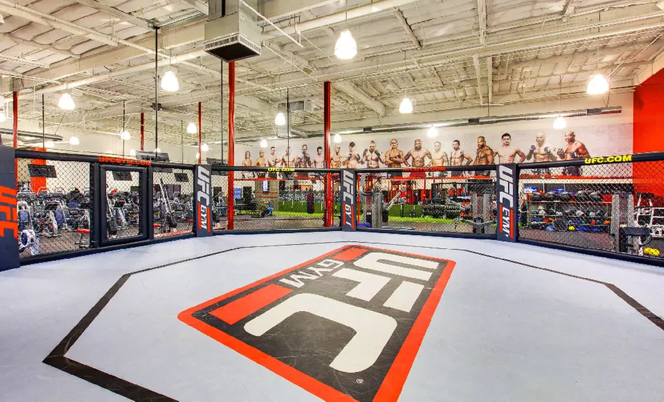 $49 for an Ultimate One-Month Membership to UFC Gym ($198 Value)  - Primary Image
