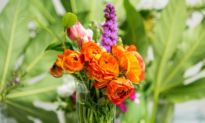 Explore an 11-acre garden center with seasonal plants and supplies