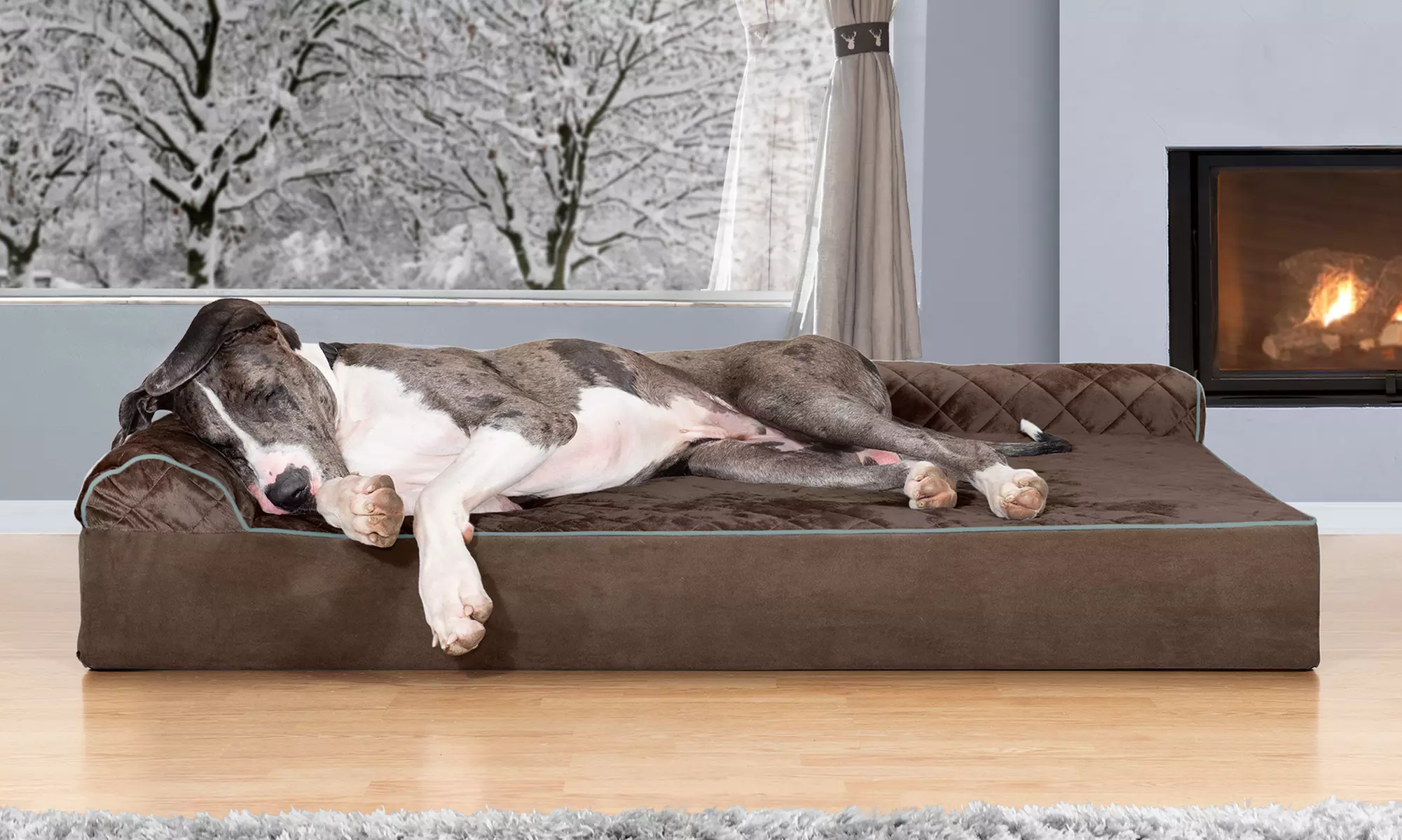 Furhaven Extra Large Chaise Pet Dog Bed for Giant Dog Breeds - Primary Image