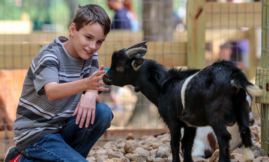 Image 5: Big Rivers Waterpark & Adventures Invites for November Fun 