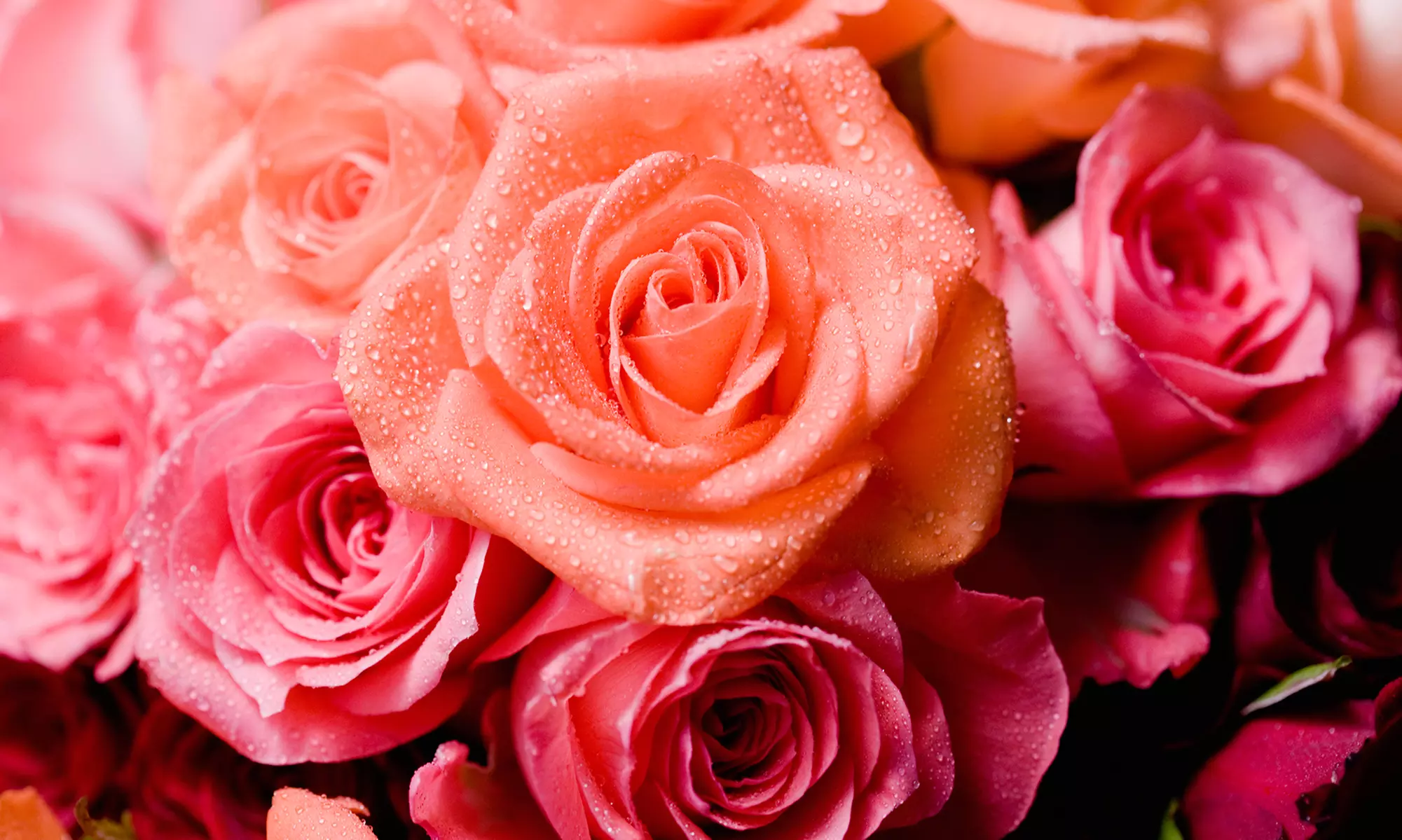 Flowers at Lehrer's Flowers (50% Off). Two Options Available. - Primary Image