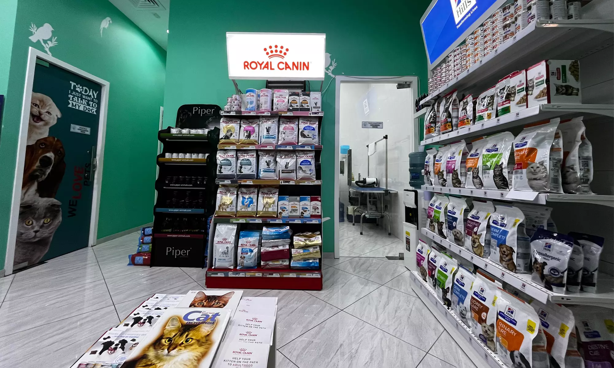 Basic or Full Grooming for Cats or Dogs of Various Sizes