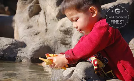 $35 for Three Months of Unlimited Visits for One Adult and One Child at Bay Area Discovery Museum ($70 Value) - Primary Image