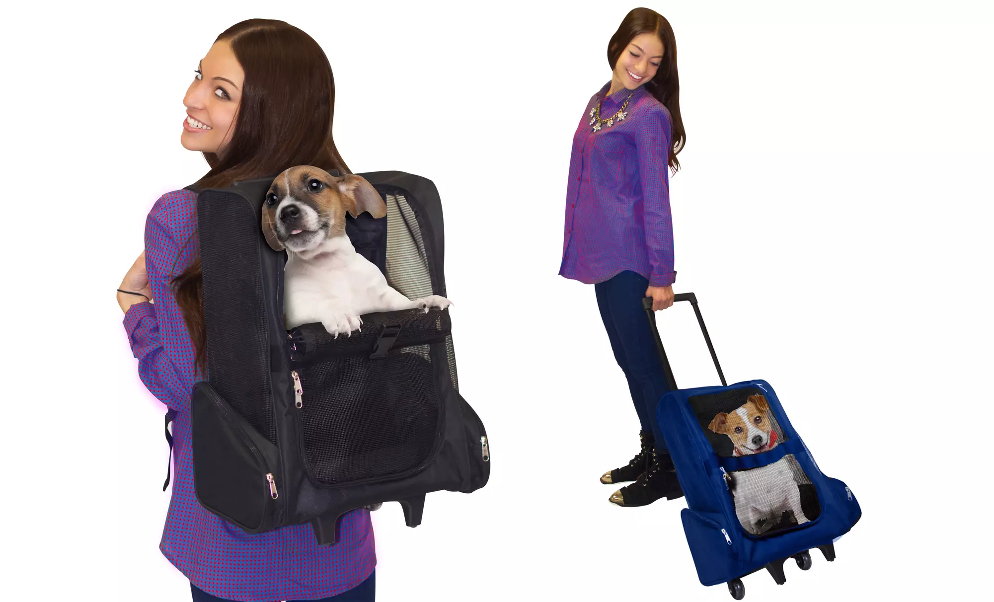 2-in-1 Pet Stroller and Carrier in Black or Blue - Primary Image