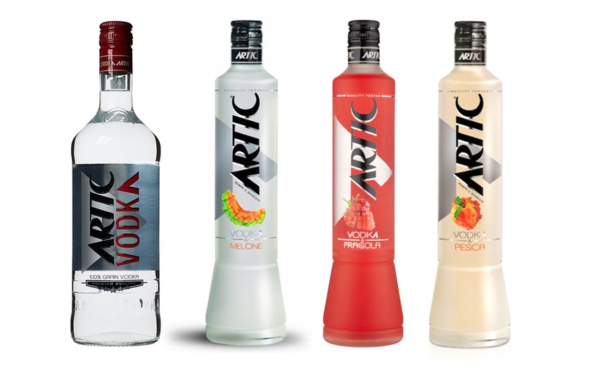 Image 1: Vodka Artic 1 L