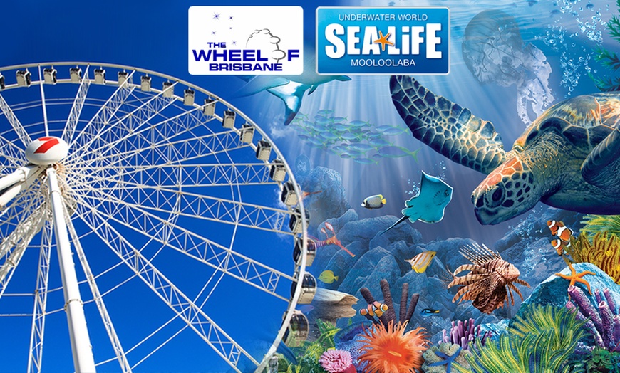 Image 2: Wheel of Brisbane + SEALIFE Combo