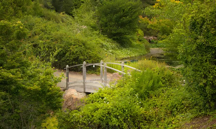 Visit for Two or Four to the Quarryhill Botanical Garden (50% Off) - Second Medium